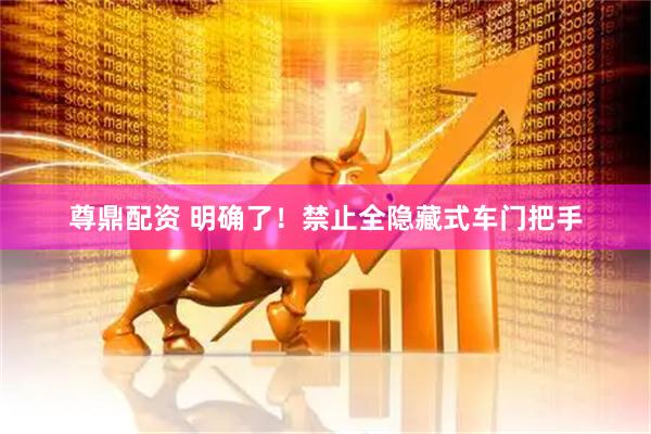 尊鼎配资 明确了！禁止全隐藏式车门把手