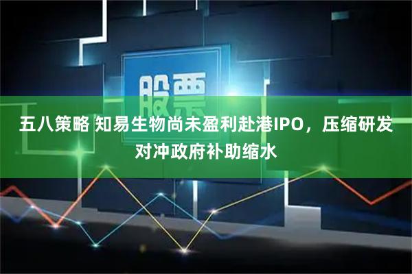 五八策略 知易生物尚未盈利赴港IPO，压缩研发对冲政府补助缩水