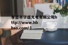 包含孝感市华盛光电有限公司http://www.hbhso.com/	的词条